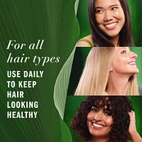 Lightweight Hair Oil, Certified Pure Plants, with Aloe and Camellia Flower Oil