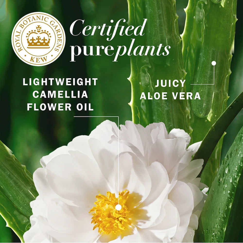 Repairing Leave-in Conditioner, Certified Pure Plants, with Aloe and Camellia Flower Oil