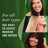 Repairing Leave-in Conditioner, Certified Pure Plants, with Aloe and Camellia Flower Oil