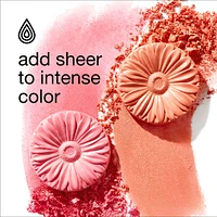 Cheek Pop™ in Black Honey Pop