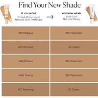 Skin Tint Natural Dewy
