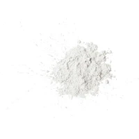 Light Reflecting Setting Powder Loose