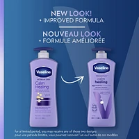 Vaseline Intensive Care Body Lotion moisturizer for dry skin Calm Healing with lavender extracts and with micro-doplets of Vaseline Jelly 600 ml