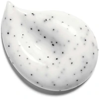LE MASQUE - Camellia Exfoliating Mask