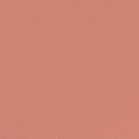 Ultrawear Intense Matte Liquid Lip Colour