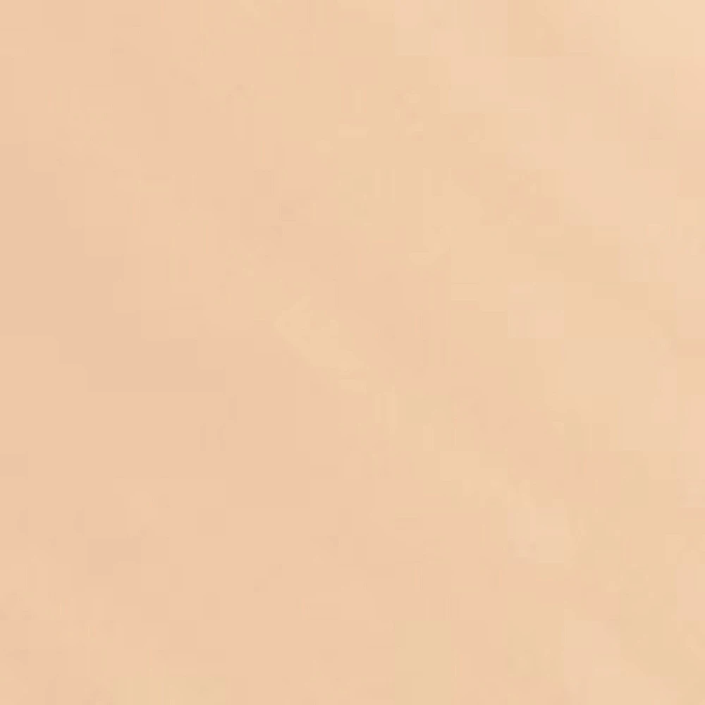 Blurring Smooth-effect Foundation. Velvet Matte Finish.