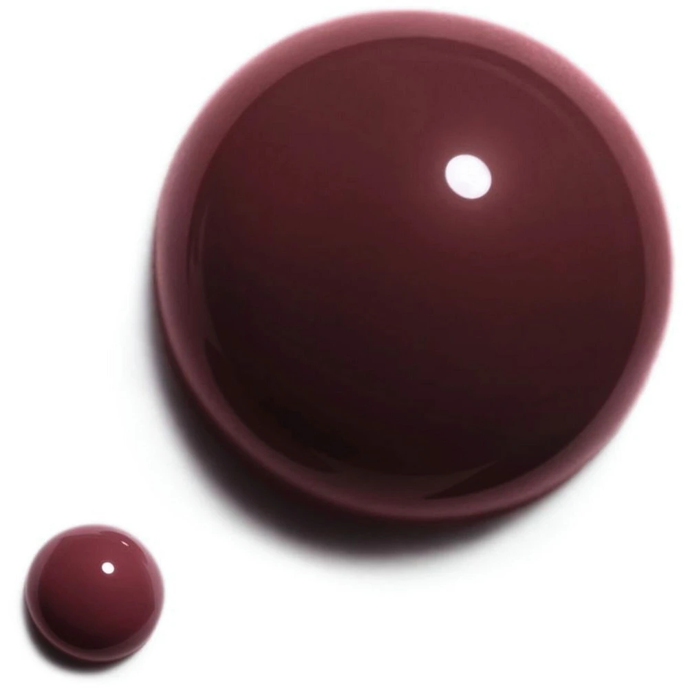 LE VERNIS