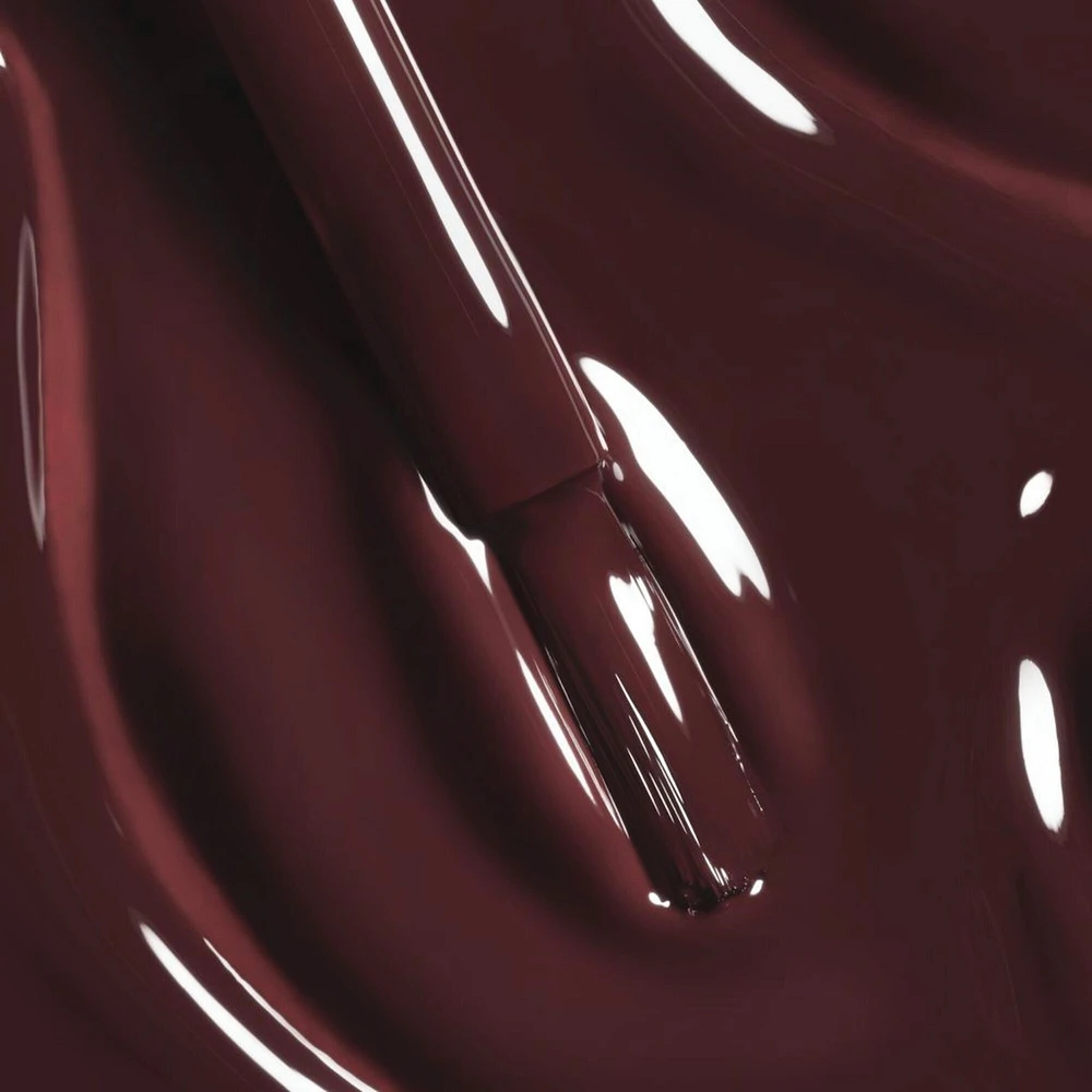 LE VERNIS