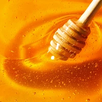 Honey Lip Care