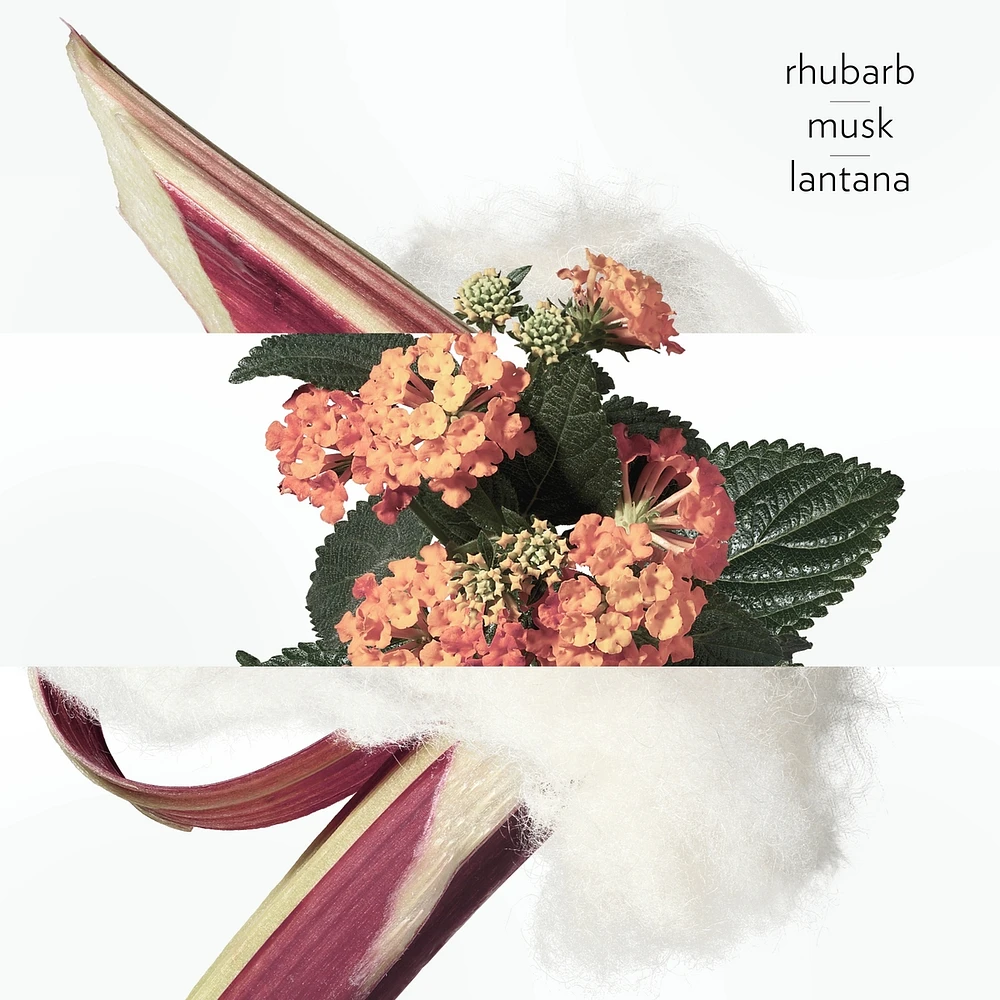 Eau de rhubarbe écarlate, Cologne