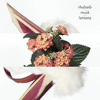 Eau de rhubarbe écarlate, Cologne
