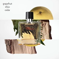 Terre d'Hermès, 30 ml Terre d’Hermès Parfum travel Spray and 125 ml refill