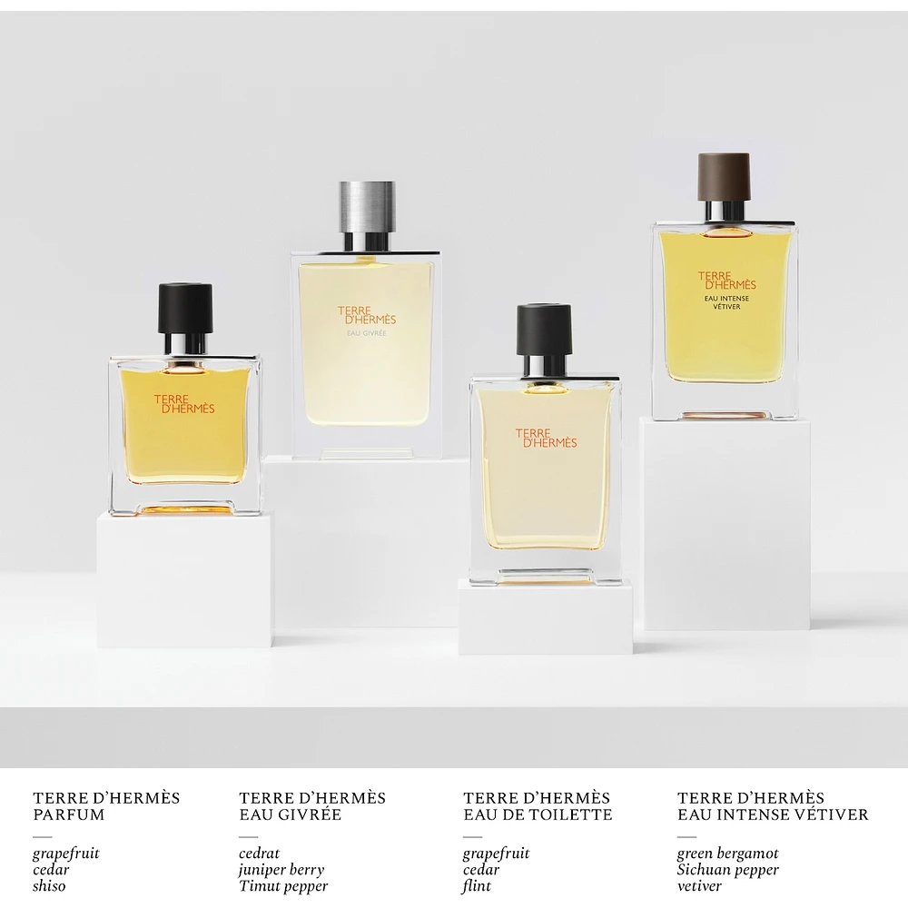 Terre d’Hermès Eau Givrée, Eau de Parfum Refill