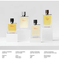 Terre d’Hermès Eau Givrée, Eau de Parfum Refill