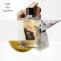 Terre d'Hermès, Eau de toilette, 30 ml travel Spray and 125 ml refill