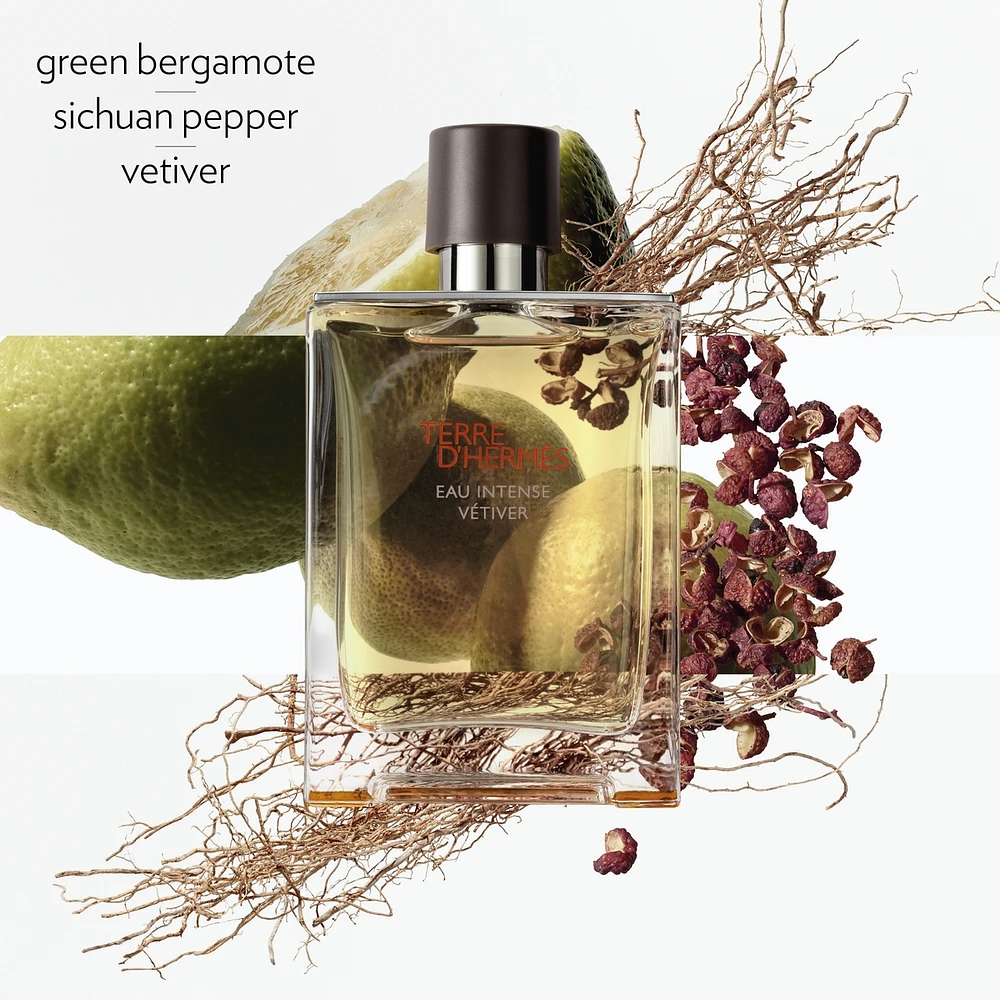 Terre d'Hermès Eau Intense Vétiver, Eau de Parfum