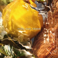 Aqua Allegoria Forte Oud Yuzu Eau de Parfum