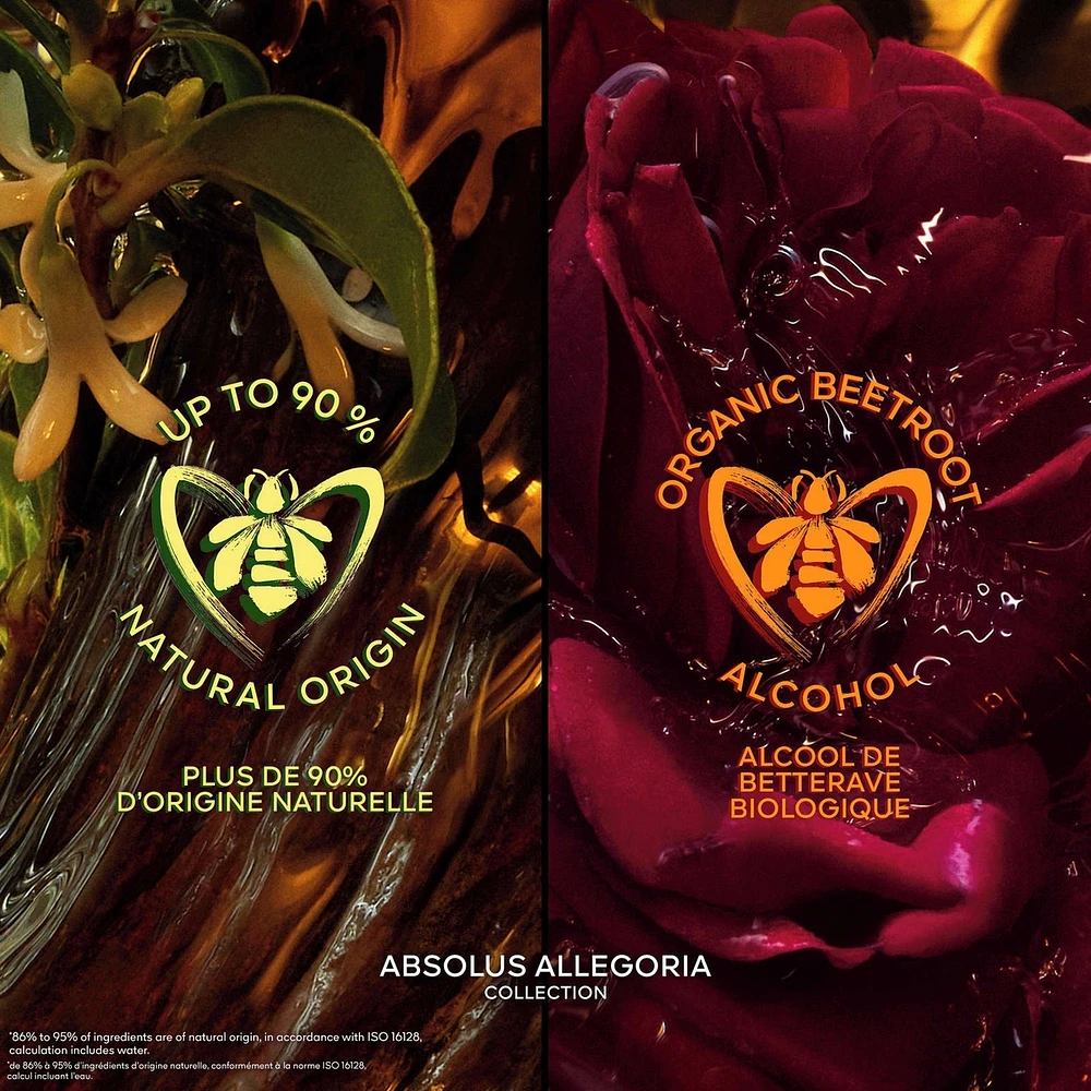 Absolus Allegoria Oud Essentiel  Eau de Parfum
