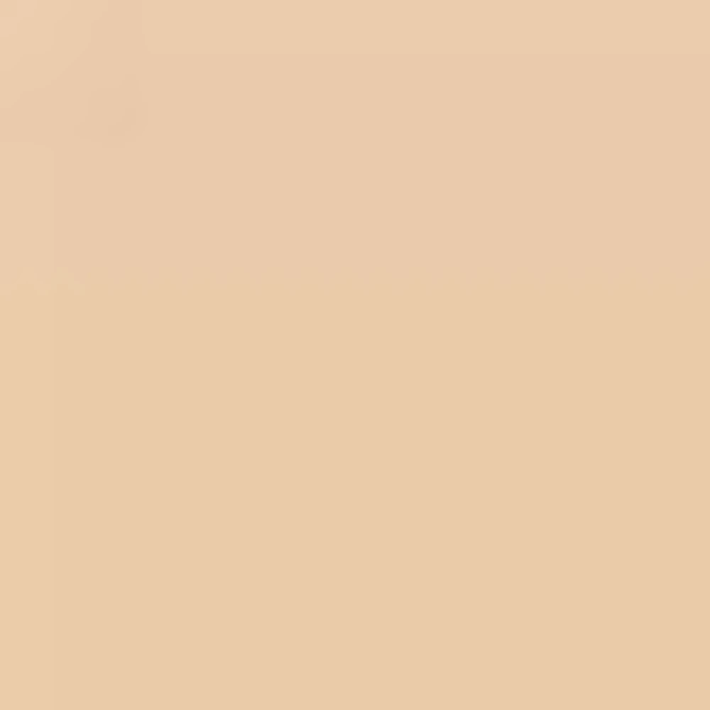 Parure Gold Skin Control High Perfection matte Powder Foundation