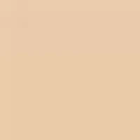 Parure Gold Skin Control High Perfection matte Powder Foundation