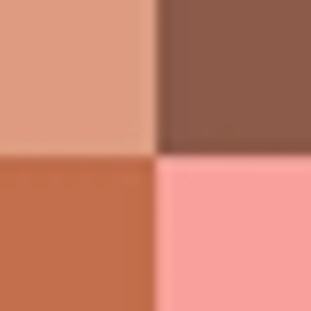 Ombres G Eyeshadow quad