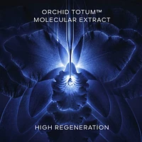 Orchidée Impériale - The Cream