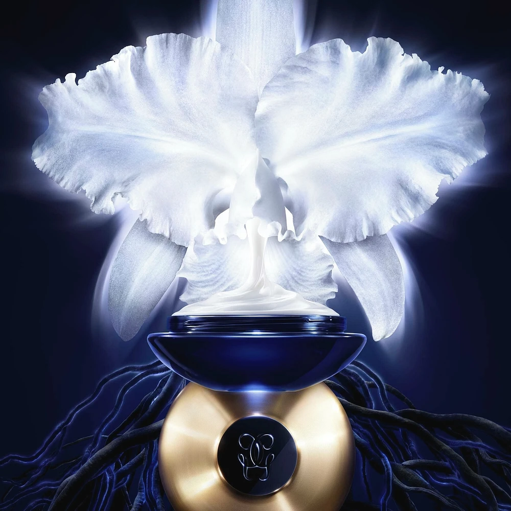 Orchidée Impériale - The Light Cream