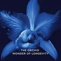 Orchidée Impériale The Essence-in-Lotion