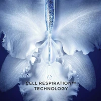 Orchidée Impériale Sleeping Serum
