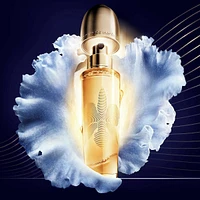Orchidée Impériale The Fundamental Oil