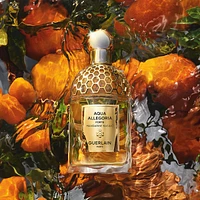 Aqua Allegoria Forte Mandarine Basilic - Eau de Parfum Gift Set