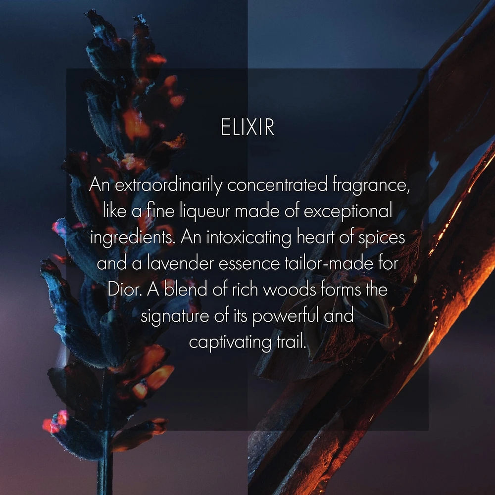 Sauvage Elixir