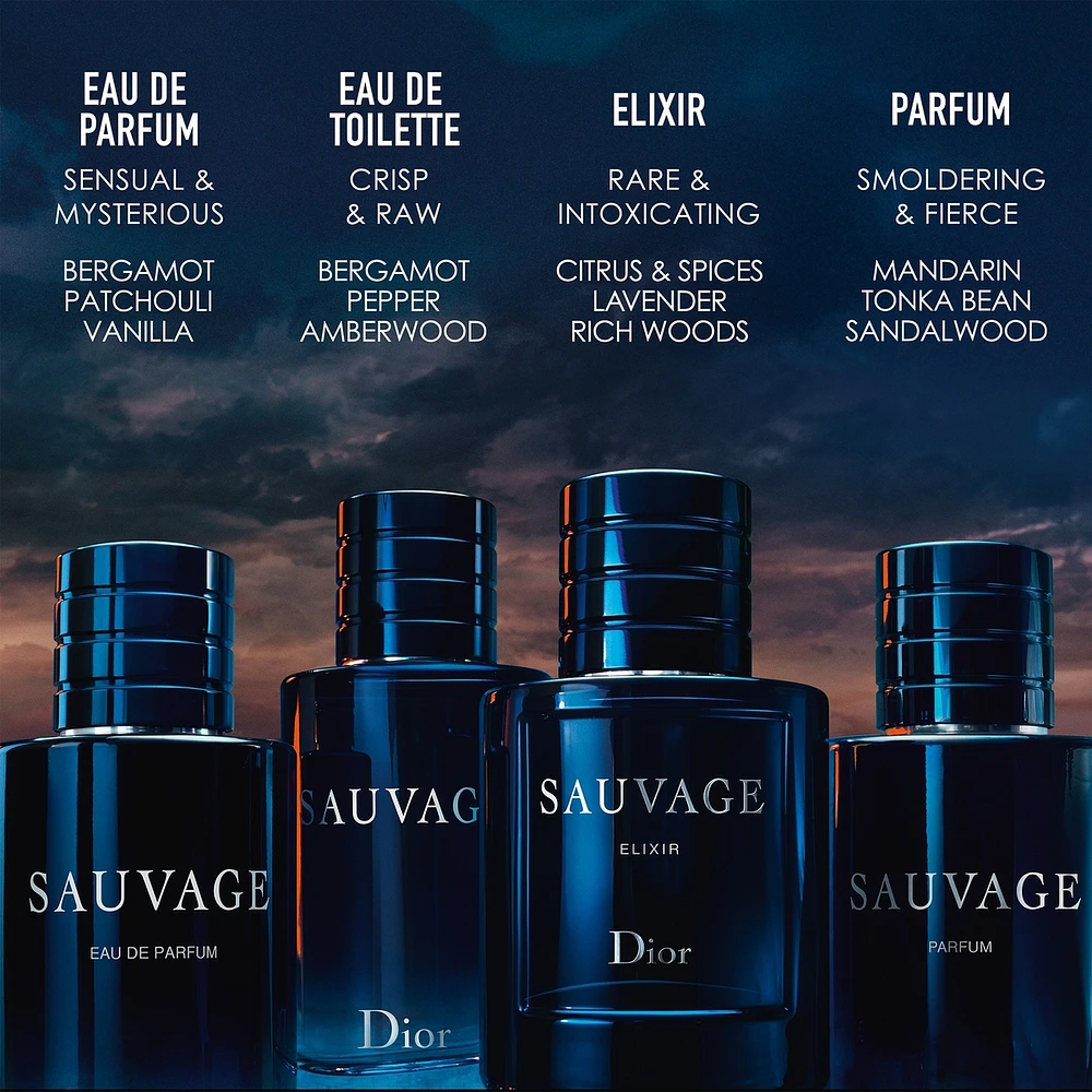 Sauvage Elixir