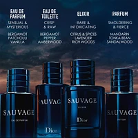 Sauvage Elixir