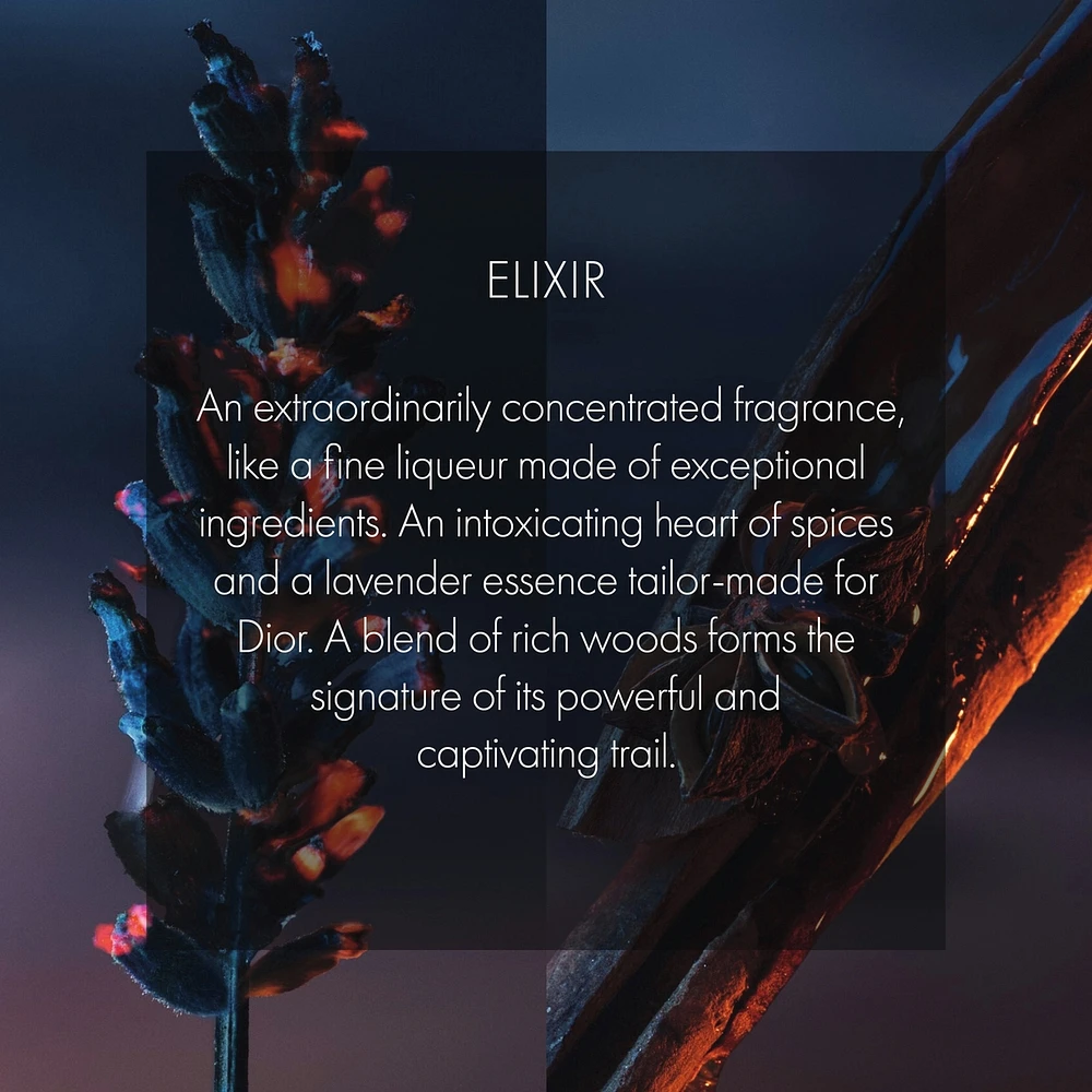 Sauvage Elixir