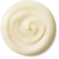 Capture Totale Retishot Retinol Night Treatment