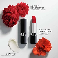 Rouge Dior Lipstick
