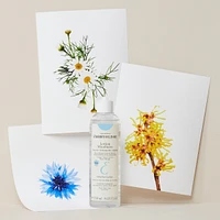 Micellar Lotion