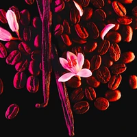 Black Opium Eau De Parfum, Gourmand Fragrance For Women with Coffee And Vanilla Notes