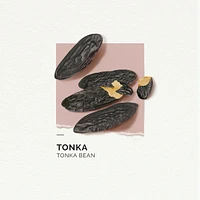 Eau De Parfum Tonka Bean