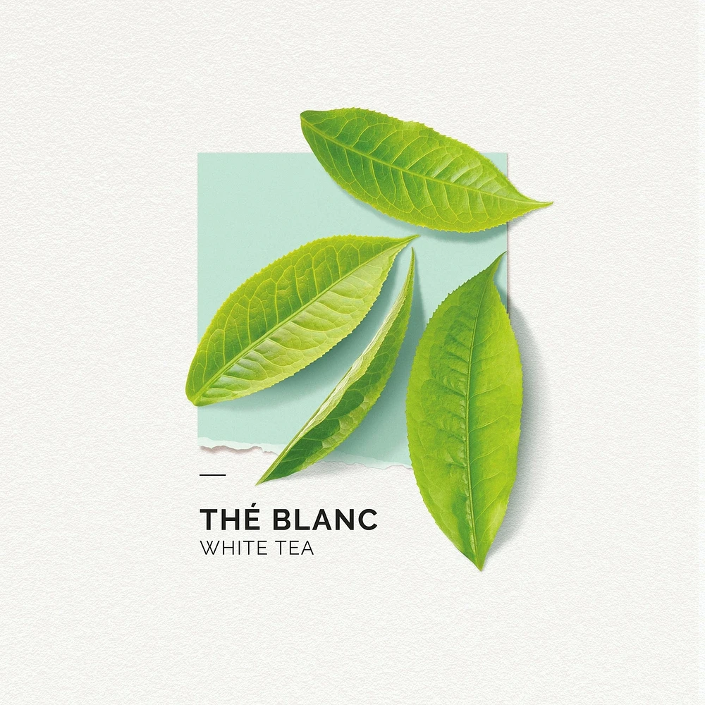Eau De Parfum White Tea