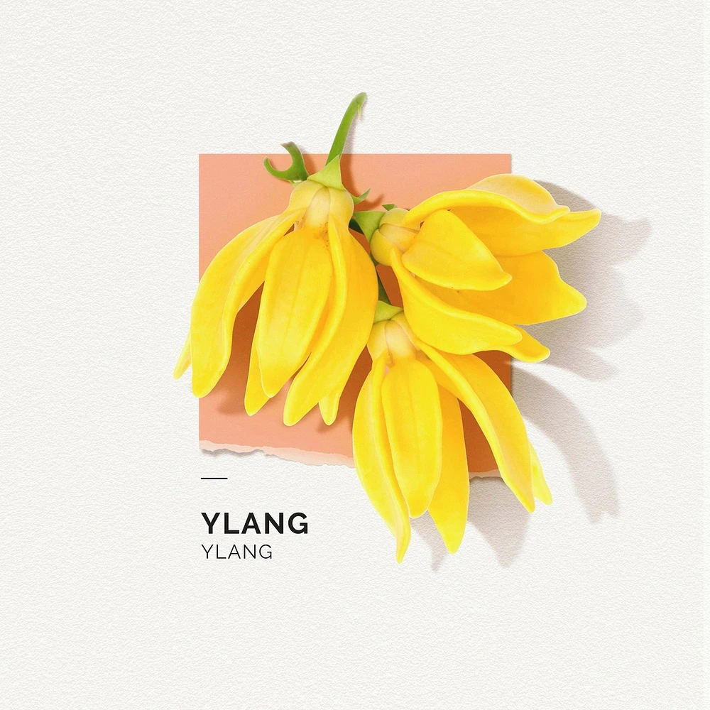Eau De Parfum Ylang