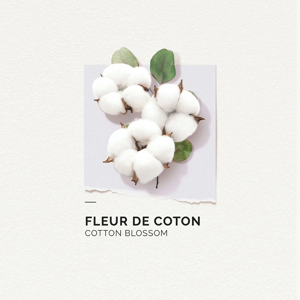 Eau De Parfum Cotton Blossom