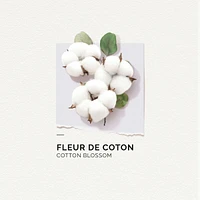 Eau De Parfum Cotton Blossom