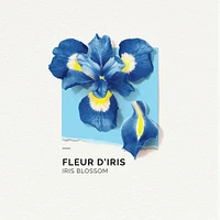 Eau De Parfum Iris