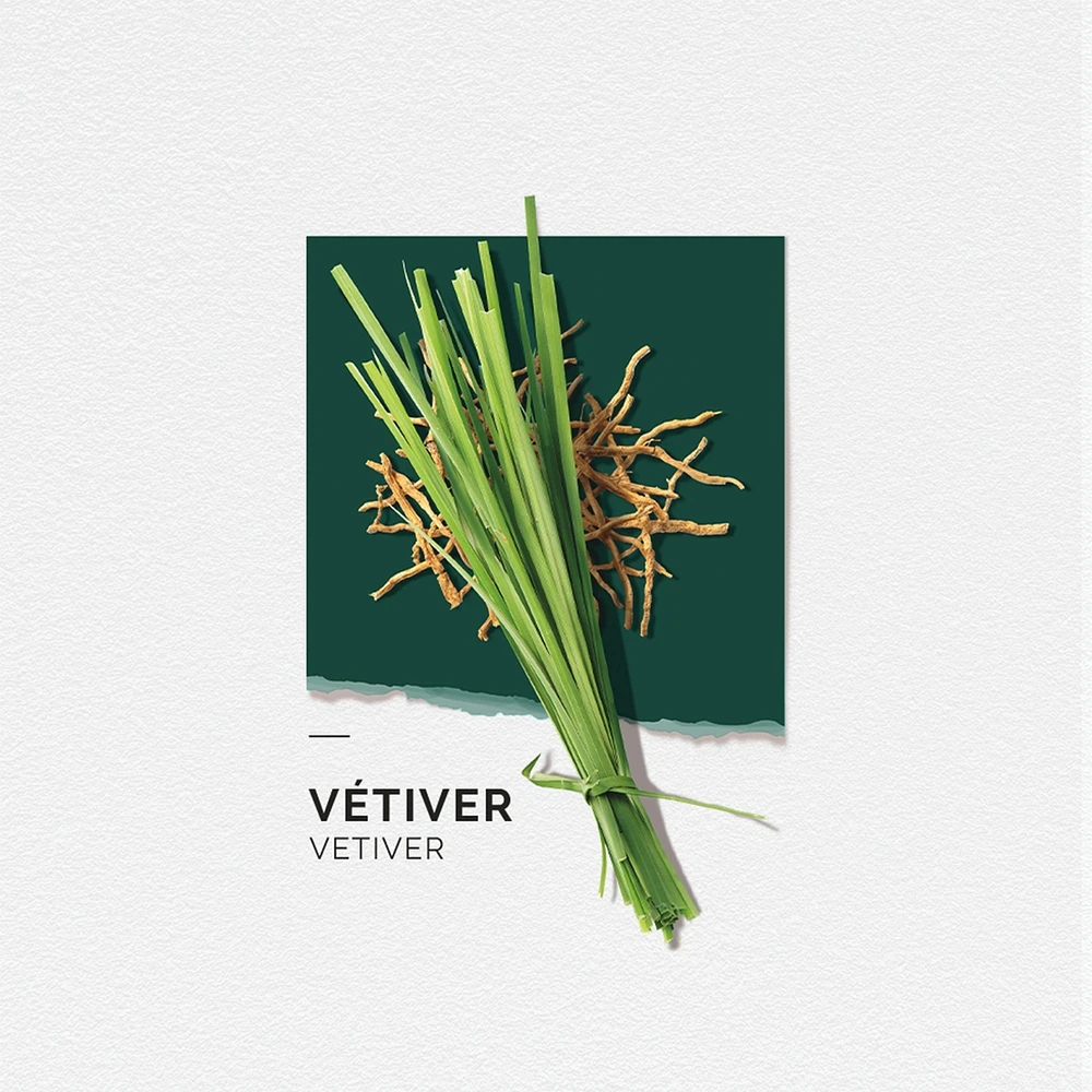 Solinotes Vetiver Eau de Parfum 1.7 Floz