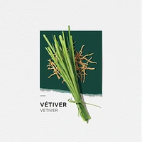 Solinotes Vetiver Eau de Parfum 1.7 Floz