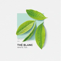 Solinotes 2 Pieces Gift Set - White Tea