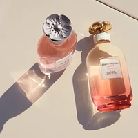 Coach Dreams Sunset