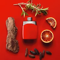 Montblanc Legend Red
